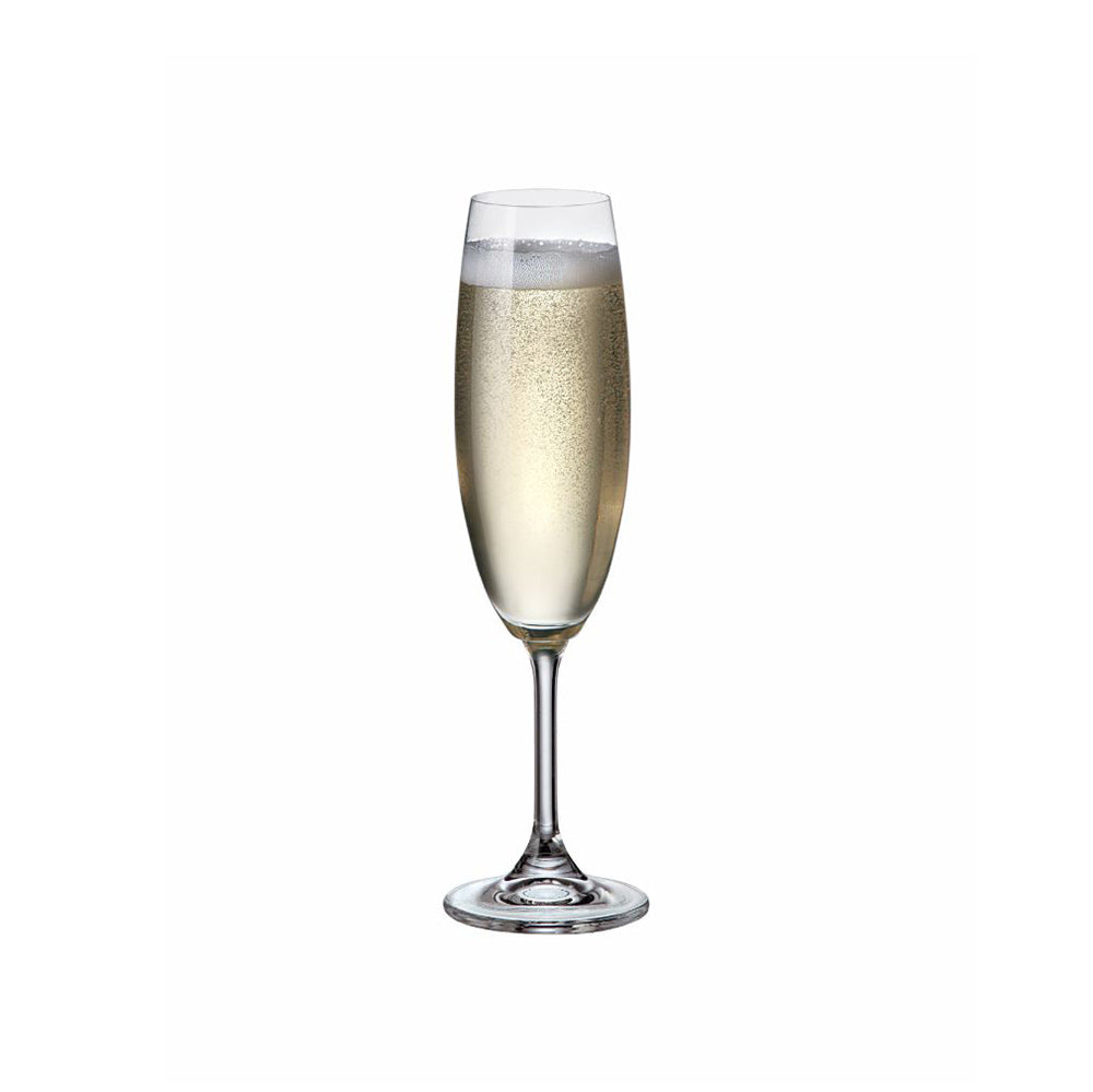 LARA FLUTE 220ML WITH CUSTOM BRANDING