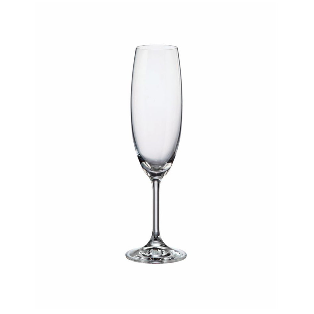 LARA FLUTE 220ML WITH CUSTOM BRANDING